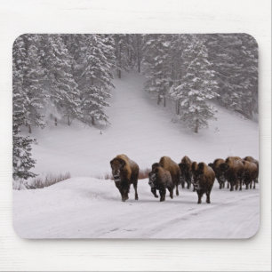Bison in de winter muismat