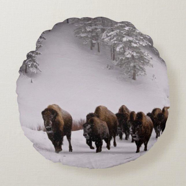 Bison in de winter rond kussen (Voorkant)