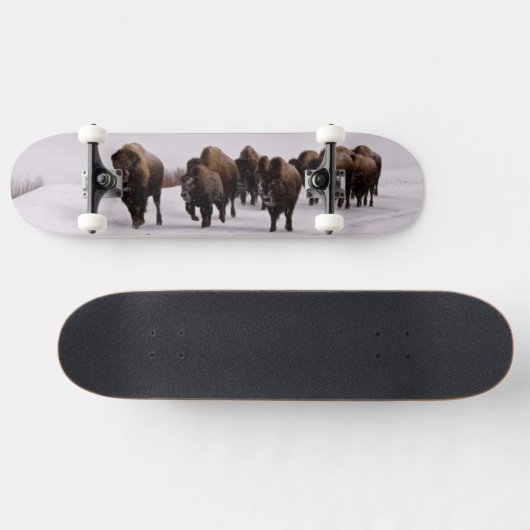 Bison in de winter skateboard (Horizontaal)