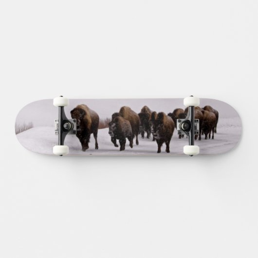 Bison in de winter skateboard (Horizontaal)