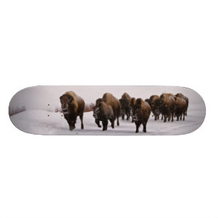 Bison in de winter skateboard