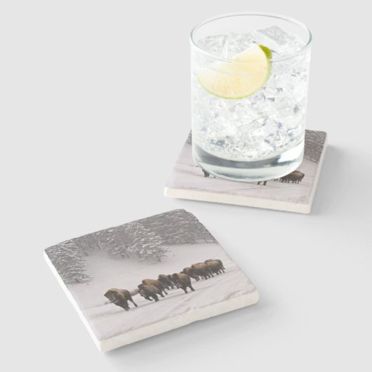 Bison in de winter stenen onderzetter (Zijkant)