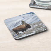 Bison in de winterbergen van geelsteen onderzetter (Linkerzijde)