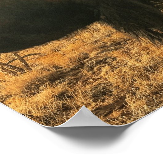 Bison in Foreground Mountains in New Mexico Poster (Hoek)