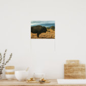 Bison in Foreground Mountains in New Mexico Poster (Keuken)