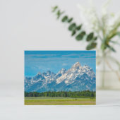Bison in Grand Teton National Park Briefkaart (Staand voorkant)