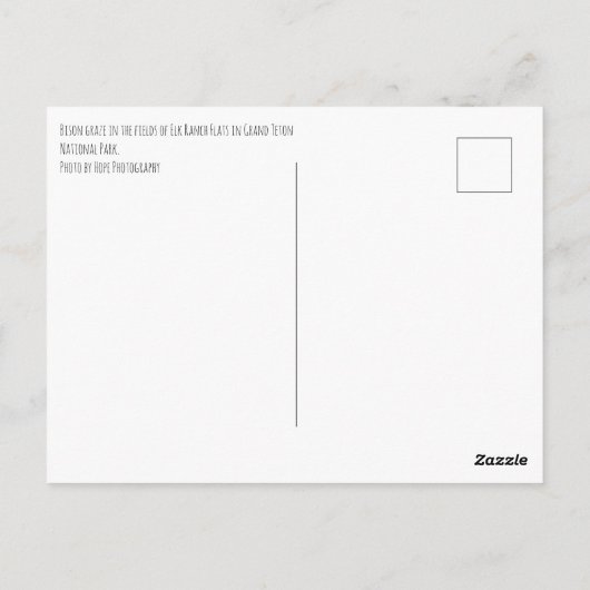 Bison in Grand Teton National Park Briefkaart (Achterkant)