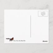 Bison in Grand Teton National Park Fotografie Briefkaart (Achterkant)