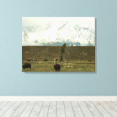 Bison in Grand Teton National Park Fotografie Canvas Afdruk (Insitu (Houten vloer))