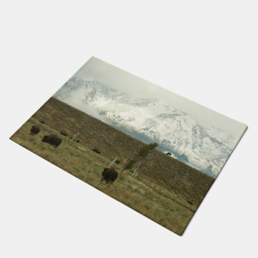 Bison in Grand Teton National Park Fotografie Deurmat (Schuin)