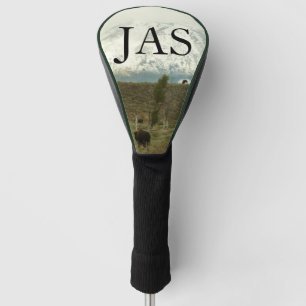 Bison in Grand Teton National Park Fotografie Golfheadcover