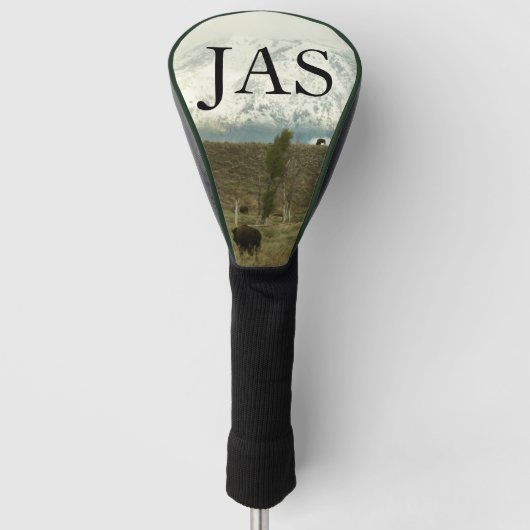 Bison in Grand Teton National Park Fotografie Golfheadcover (Voorkant)