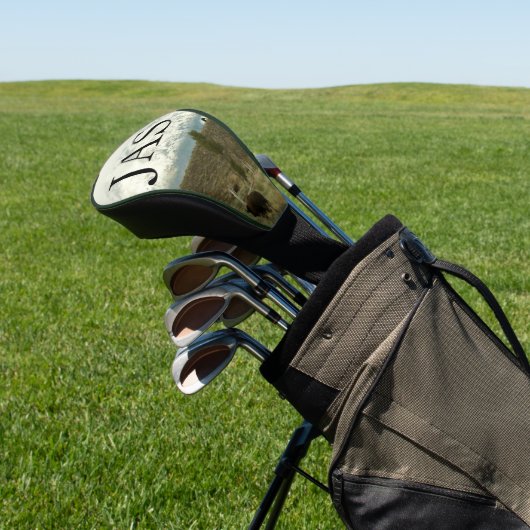 Bison in Grand Teton National Park Fotografie Golfheadcover (Insitu)
