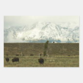 Bison in Grand Teton National Park Fotografie Inpakpapier Vel (Voorkant 3)