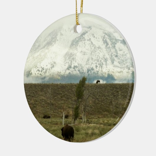 Bison in Grand Teton National Park Fotografie Keramisch Ornament (Links)