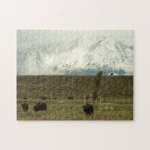Bison in Grand Teton National Park Fotografie Legpuzzel