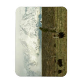 Bison in Grand Teton National Park Fotografie Magneet (Verticaal)