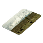 Bison in Grand Teton National Park Fotografie Magneet (Linkerzijde)