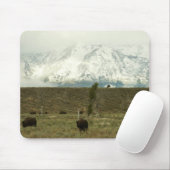 Bison in Grand Teton National Park Fotografie Muismat (Met muis)