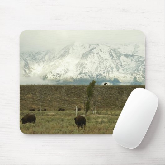 Bison in Grand Teton National Park Fotografie Muismat (Met muis)