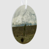 Bison in Grand Teton National Park Fotografie Ornament (voorkant)