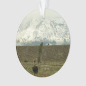 Bison in Grand Teton National Park Fotografie Ornament (voorkant)