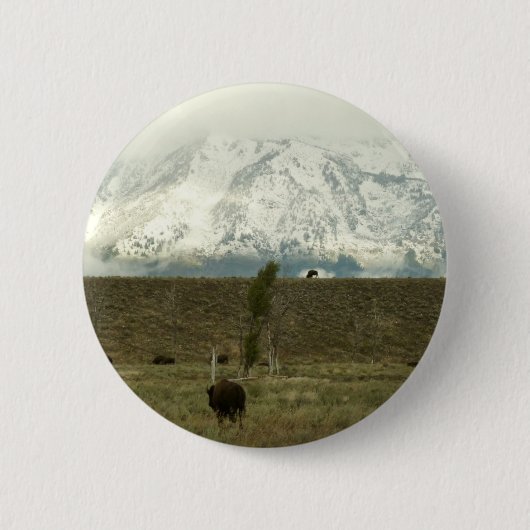 Bison in Grand Teton National Park Fotografie Ronde Button 5,7 Cm (Voorkant)