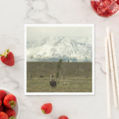 Bison in Grand Teton National Park Fotografie Servet (Insitu)