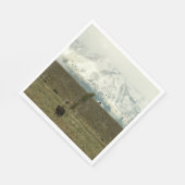 Bison in Grand Teton National Park Fotografie Servet (Hoek)