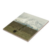 Bison in Grand Teton National Park Fotografie Tegeltje (Zijkant)