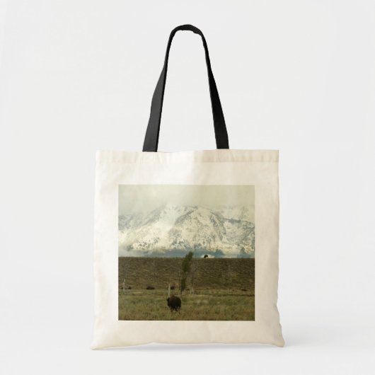 Bison in Grand Teton National Park Fotografie Tote Bag (Voorkant)
