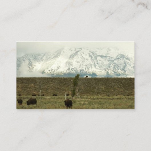 Bison in Grand Teton National Park Fotografie Visitekaartje (Achterkant)