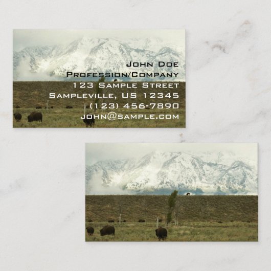 Bison in Grand Teton National Park Fotografie Visitekaartje (Voorkant / Achterkant)