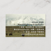 Bison in Grand Teton National Park Fotografie Visitekaartje (Voorkant)
