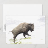 Bison in het storm van de winter (Voorkant / Achterkant)
