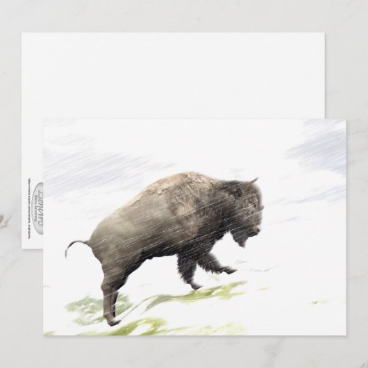 Bison in het storm van de winter (Voorkant / Achterkant)
