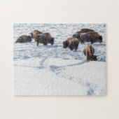 Bison in Snow Jigzaag Puzzle Legpuzzel (Horizontaal)