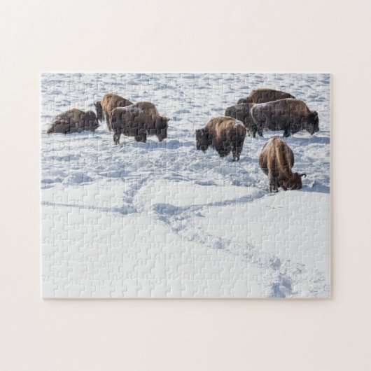 Bison in Snow Jigzaag Puzzle Legpuzzel (Horizontaal)