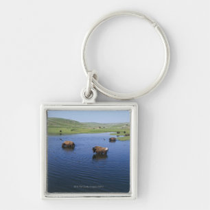 Bison in water met een groot aantal kliefslikken sleutelhanger