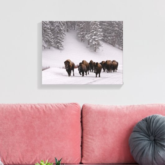 Bison in Winter Canvas Afdruk (Insitu (Woonkamer))