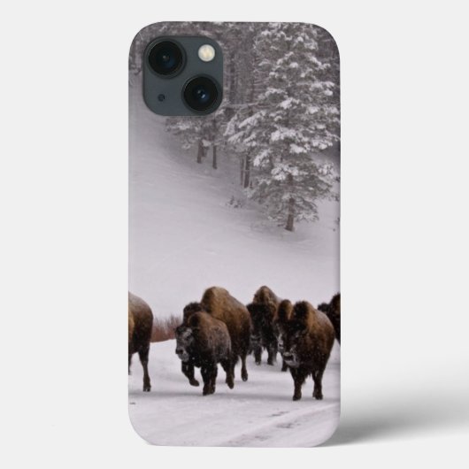 Bison in Winter Case-Mate iPhone Case (Achterkant)
