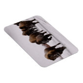 Bison in Winter Magneet (Rechterzijde)