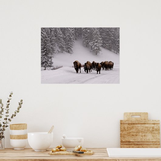 Bison in Winter Poster (Keuken)