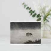 Bison in Winter Yellowstone Briefkaart (Staand voorkant)