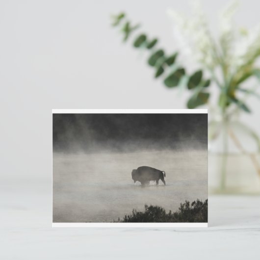 Bison in Winter Yellowstone Briefkaart (Staand voorkant)