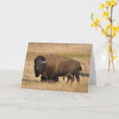 Bison in Yellowstone Kaart (Gele Bloem)