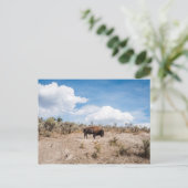 Bison in Yellowstone National Park Briefkaart (Staand voorkant)