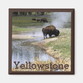 Bison in Yellowstone National Park Magneet (Voorkant)