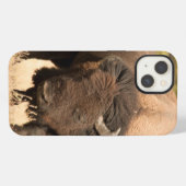 Bison iPhone Hoesje (Achterkant horizontaal)