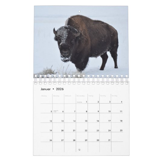 Bison Kalender (Jan 2026)